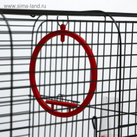 Клетка для птиц "Грация", 49 х 36 х 37 см, микс цветов Клетка для птиц "Грация", 49 х 36 х 37 см, микс цветов