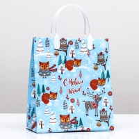 Новый год. Пакет "Холодок", мягкий пластик, 22,5 х 25,5 см. Новый год. Пакет "Холодок", мягкий пластик, 22,5 х 25,5 см.