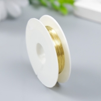 Проволока для творчества "Astra" 0,2 мм, 10 м, золото Проволока для творчества "Astra" 0,2 мм, 10 м, золото