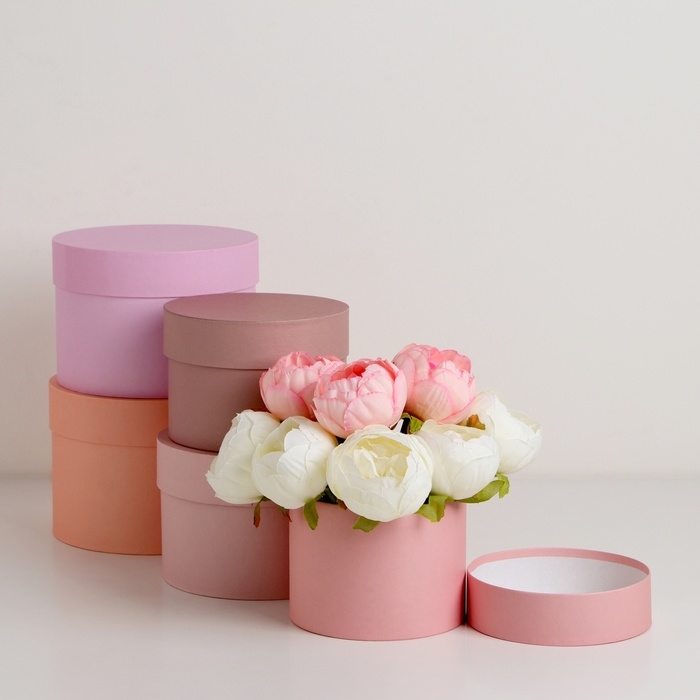 Набор шляпных коробок 5 в 1 Набор шляпных коробок 5 в 1 "Крема" 20 х 14,5, 14 х 10 см