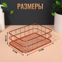Органайзер для хранения косметических принадлежностей &laquo;РАФАЭЛЬ&raquo;, 17 &times; 12 &times; 5,7 см, цвет бронзовый