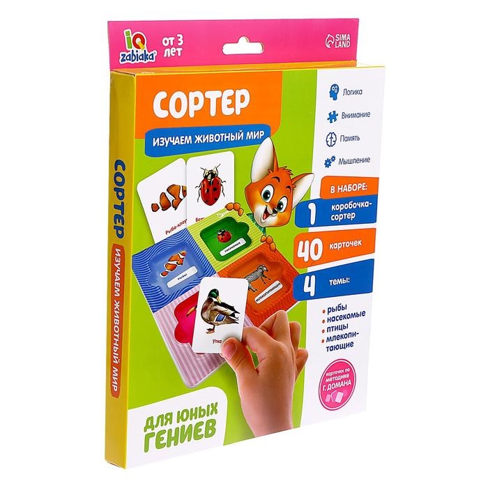 Сортер &laquo;Изучаем животный мир&raquo; с карточками Домана