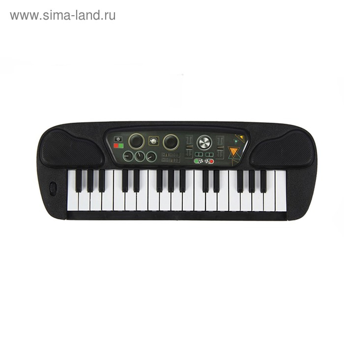 Синтезатор &laquo;Музыкант&raquo;, 19 клавиш
