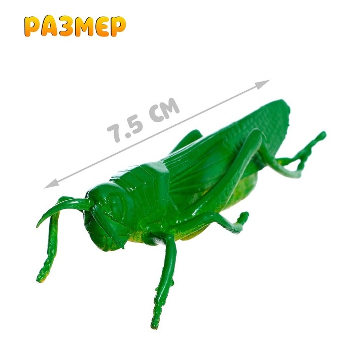 Набор животных насекомых &laquo;Природа&raquo;, МИКС