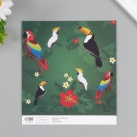 Бумага для скрапбукинга двусторонняя "Попугаи, фламинго и зебры" плотность 180 гр набор 10 шт 15,5х1