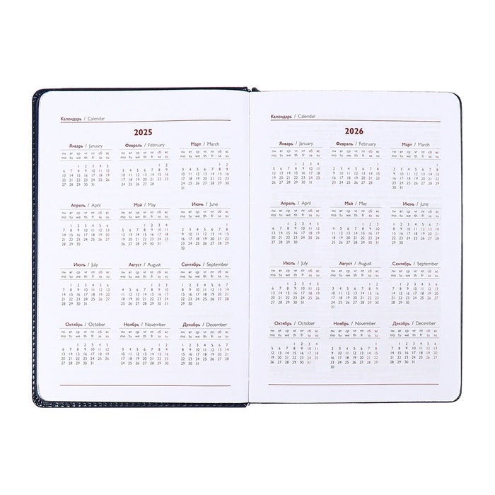 Ежедневник датированный 2025 года, ESCALADA, A5 176 листов, твердая обложка кожзам с поролоном, блинтовое тиснение, перфорация на обложке, блок 70 г/м2, синий
