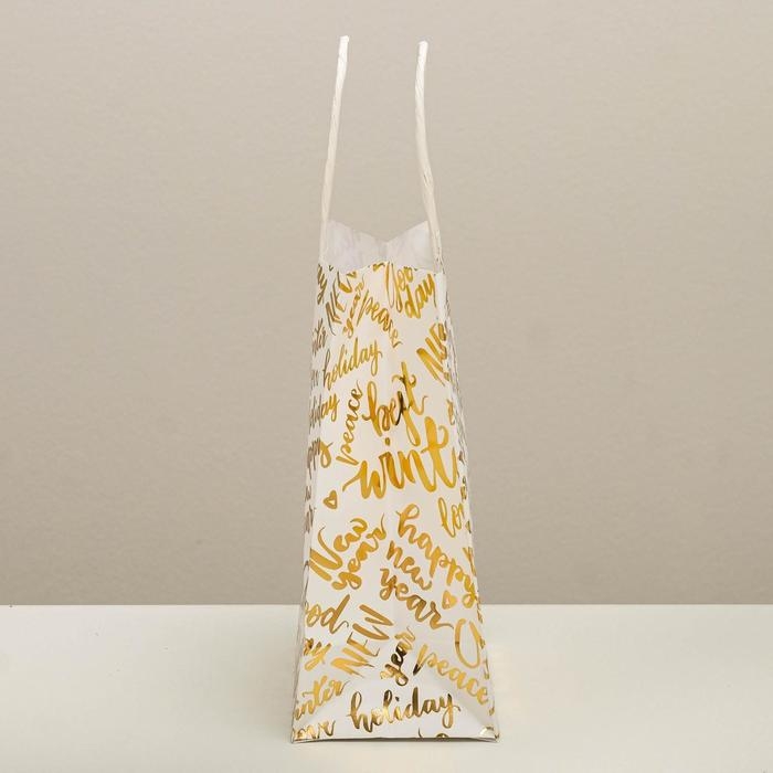 Пакет подарочный новогодний крафтовый «Best winter», 12 х 21 х 9 см, Новый год Пакет подарочный новогодний крафтовый «Best winter», 12 х 21 х 9 см, Новый год