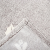 Плед светящийся в темноте Этель Twigs 180*200 см,100% п/э, корал-флис, 220 гр/м2 Плед светящийся в темноте Этель Twigs 180*200 см,100% п/э, корал-флис, 220 гр/м2