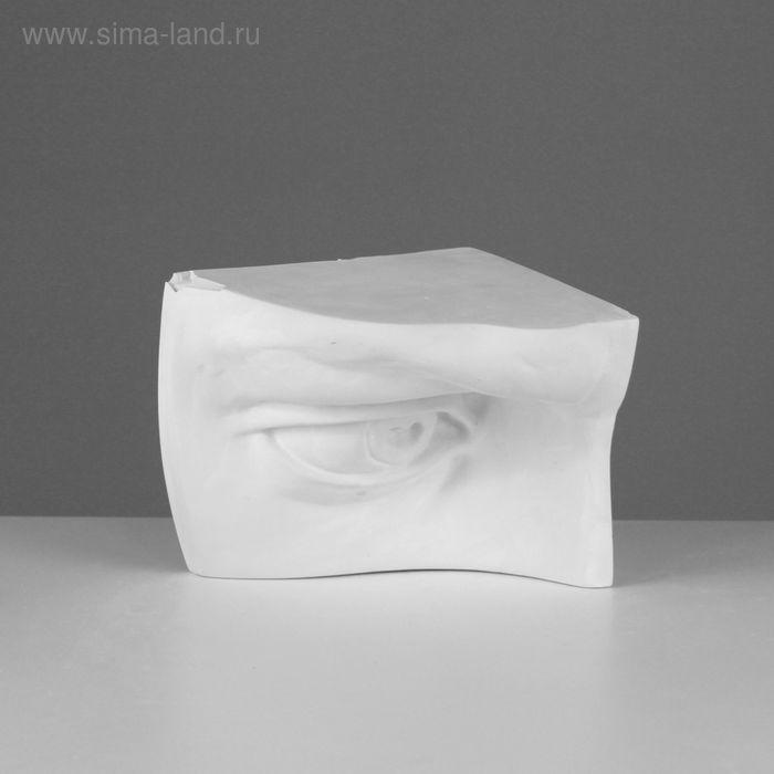 Гипсовая фигура глаз Давида правый, 20 х 13,5 х 15,5 см Гипсовая фигура глаз Давида правый, 20 х 13,5 х 15,5 см