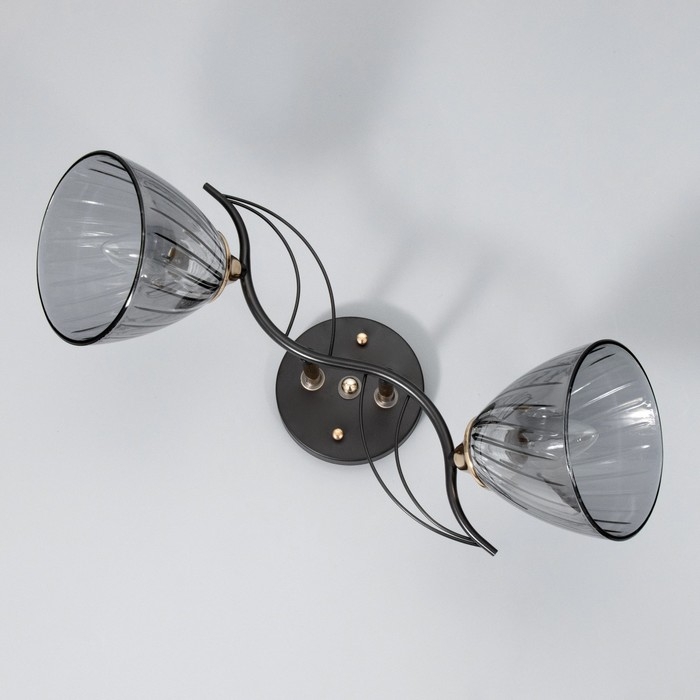 Люстра "Сальма" 2хЕ27 40Вт черный 48х18х24см BayerLux