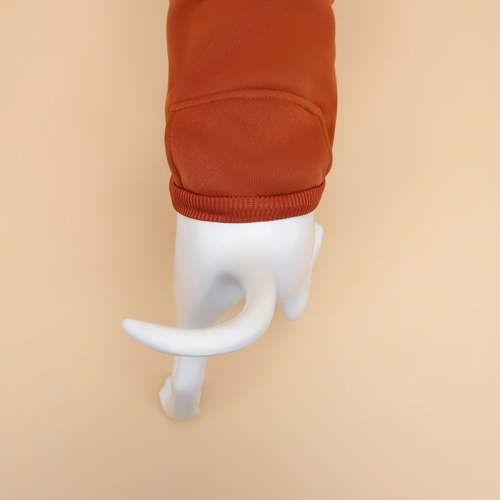 Толстовка для животных с капюшоном, размер XS (ДС 30 см). Бежевая Толстовка для животных с капюшоном, размер XS (ДС 30 см). Бежевая