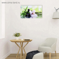 Картина-холст на подрамнике СПА,  60х100 см