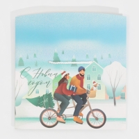 Пакет-коробка &laquo;Новый год вместе&raquo;, 28 х 20 х 13 см, Новый год