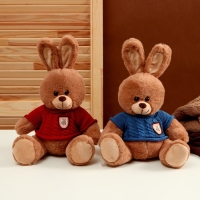 Мягкая игрушка &laquo;Зайка&raquo;, в свитере, 25 см, цвет МИКС