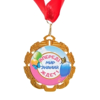 Медаль с лентой "Выпускник детского сада", D = 70 мм Медаль с лентой "Выпускник детского сада", D = 70 мм