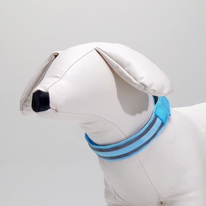 Ошейник с подсветкой Двойная полоса размер S, ОШ 35-43 х 2,5 см, 3 режима свечения голубой Ошейник с подсветкой Двойная полоса размер S, ОШ 35-43 х 2,5 см, 3 режима свечения голубой