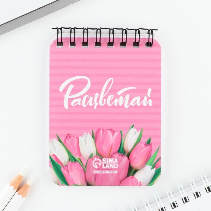 Подарочный набор блокнот и ручка «Сияй ярче всех!» Подарочный набор блокнот и ручка «Сияй ярче всех!»