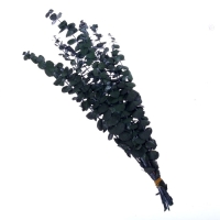 Сухоцвет &laquo;Эвкалиптовое дерево&raquo;, зелёный, 10 шт. в упаковке