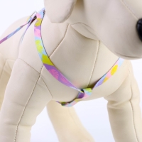 Комплект &laquo;Листья&raquo;, шлейка 24-36 см, поводок 120х1 см