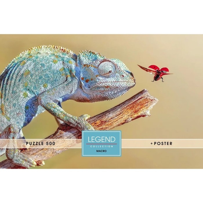 Пазлы &laquo;Хамелеон&raquo; в подарочной коробке, 500 элементов + постер