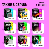 Набор для опытов &laquo;Вулкан Бёттгера&raquo;