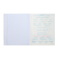 Тетрадь предметная "Тетрадочка", 48 листов в клетку "Физика", обложка мелованный картон, выборочный лак, со справочным материалом Тетрадь предметная "Тетрадочка", 48 листов в клетку "Физика", обложка мелованный картон, выборочный лак, со справочным материалом