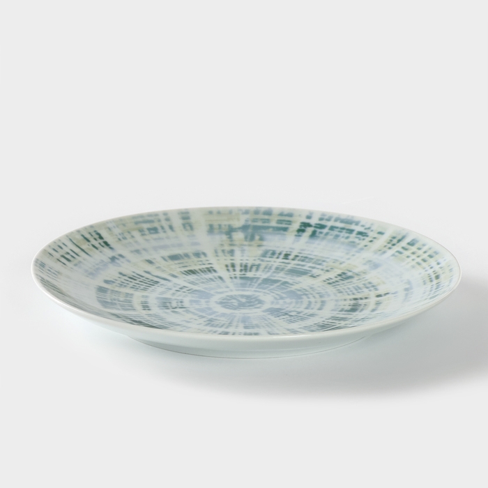 Тарелка фарфоровая &laquo;Тортуга&raquo;, d=24 см