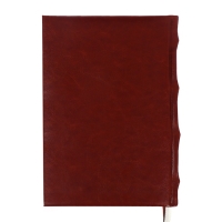 Ежедневник недатированный A5, 176 листов, deVENTE.Symbol, твёрдая обложка из искусственной кожи с поролоном, золотой срез, блок 70 г/м2, коричневый