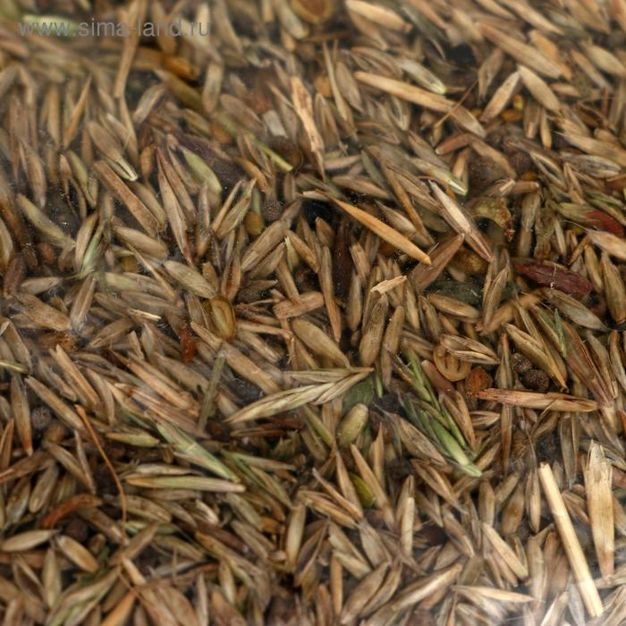 Газон Газон "Красотень", универсальный, 1 кг