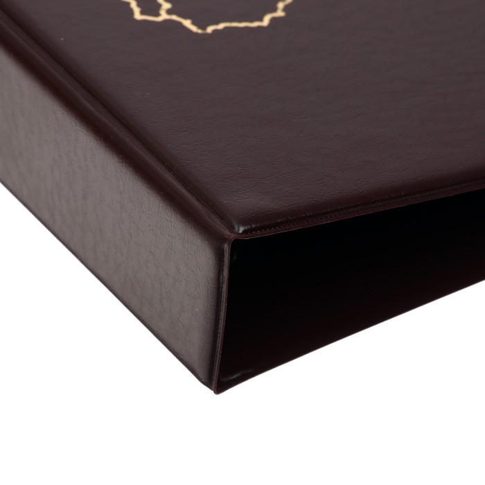 Альбом для монет на кольцах, формат Оптима 230 х 265 мм Calligrata Альбом для монет на кольцах, формат Оптима 230 х 265 мм Calligrata "Карта", входит до 20 листов, обложка ПВХ, коричневый