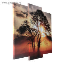 Модульная картина "На закате" (2-25х52; 1-30х60) 60х80 см Модульная картина "На закате" (2-25х52; 1-30х60) 60х80 см