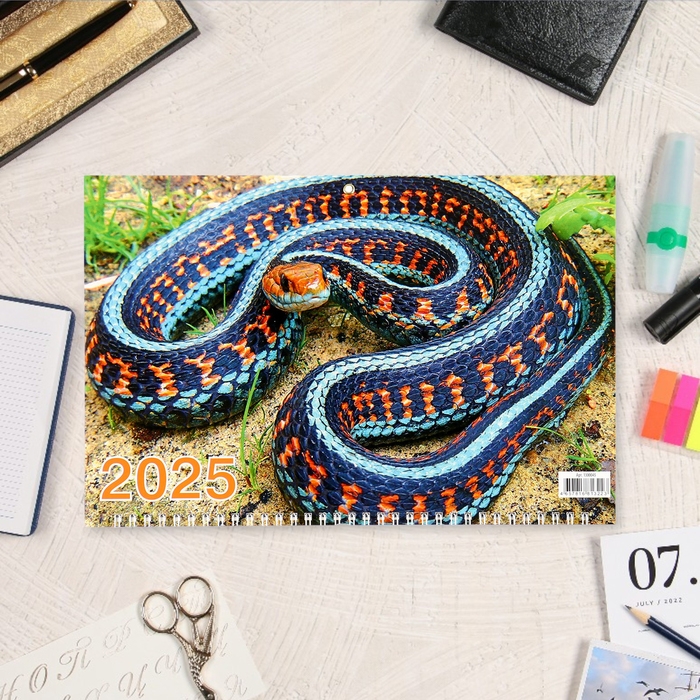 Календарь квартальный, трио Календарь квартальный, трио "Символ года - 3" 2025, 69 х 31 см