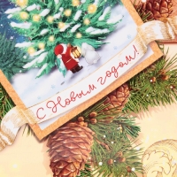 Пакет подарочный новогодний ламинированный &laquo;С Новым годом!&raquo;, L 28 х 38 х 9 см