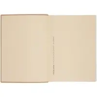 Ежедневник Anaconda, недатированный, золотистый