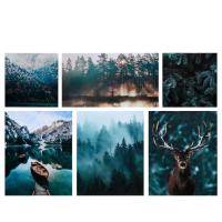 Картина модульная на подрамнике "Дикая природа" 114х70 см (2-30х30; 3-38х47;  1-30х54)