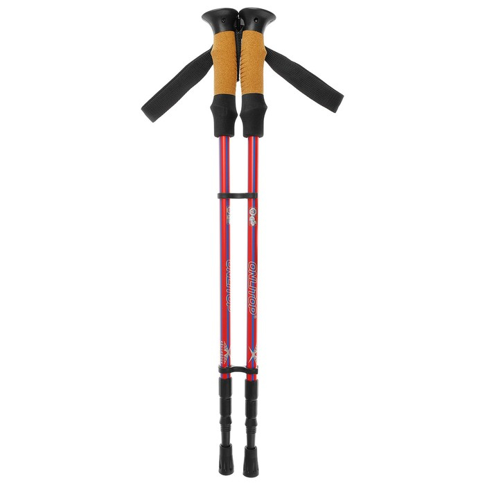 Палки для скандинавской ходьбы ONLITOP, телескопические, 3 секции, до 135 см, 2 шт., цвет МИКС Палки для скандинавской ходьбы ONLITOP, телескопические, 3 секции, до 135 см, 2 шт., цвет МИКС