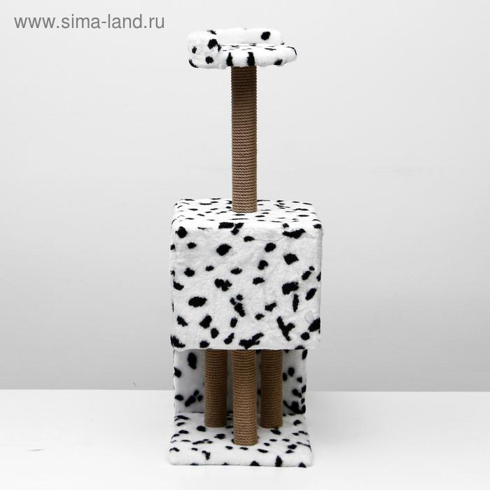 Домик для кошек с когтеточкой Домик для кошек с когтеточкой "Двухуровневый", 72 х 37 х 110 см, джут, далматинец