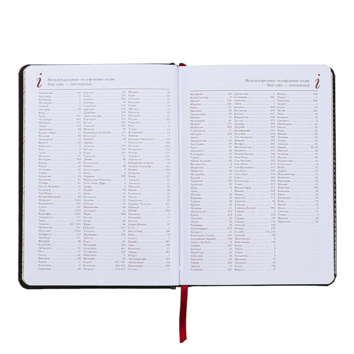 Ежедневник недатированный А5+, 136 листов Sidney Nebraska, твёрдая обложка, искусственная кожа, золотой срез, чёрный