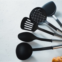 Набор кухонных принадлежностей Доляна &laquo;Антрацитовый блеск&raquo;, 5 предметов, цвет чёрный