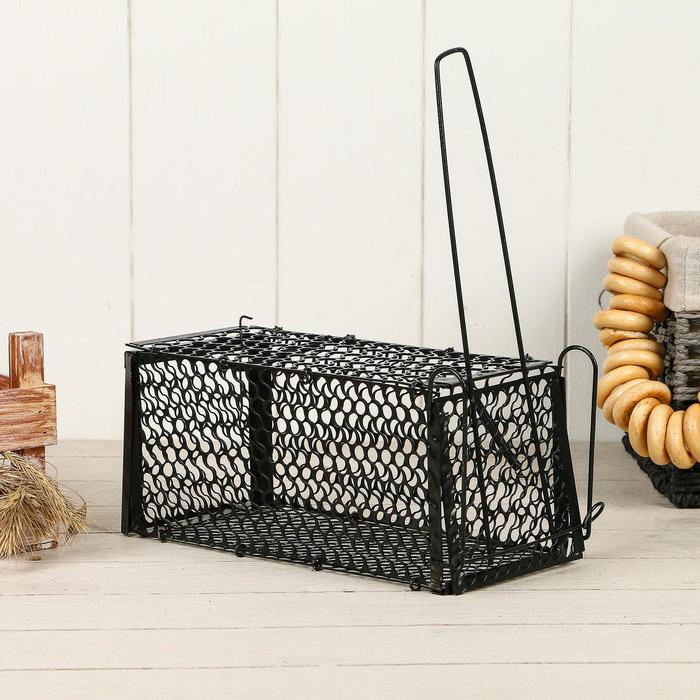 Крысоловка, 24 × 12 × 12 см, металлическая, Greengo Крысоловка, 24 × 12 × 12 см, металлическая, Greengo