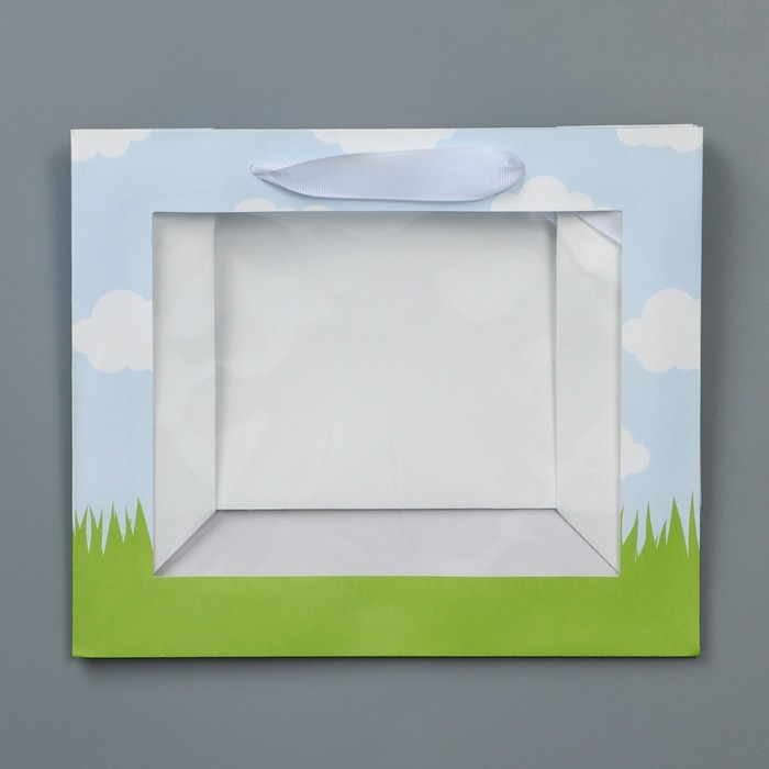 Пакет подарочный крафтовый с пластиковым окном, упаковка, «Friends», 24 х 20 х 11 см Пакет подарочный крафтовый с пластиковым окном, упаковка, «Friends», 24 х 20 х 11 см