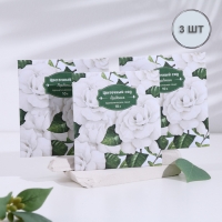 Саше ароматическое "Цветочный сад", набор 3 шт, гардения, вес 10 г, размер 10х10,5 см Саше ароматическое "Цветочный сад", набор 3 шт, гардения, вес 10 г, размер 10х10,5 см