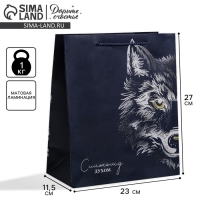 Пакет подарочный ламинированный вертикальный, упаковка, &laquo;Сильному духом&raquo;, ML 23 х 27 х 11,5 см