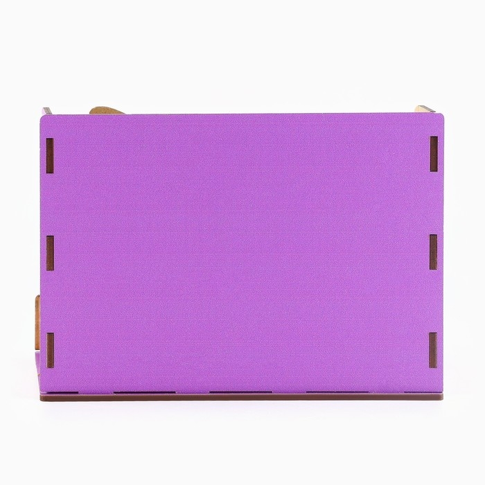 Органайзер для канцелярии, с местом под телефон &laquo;Ты просто котик&raquo;