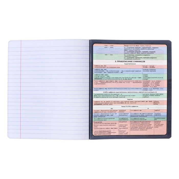 Тетрадь предметная РУССКИЙ ЯЗЫК, 48 листов в линейку, ErichKrause Тетрадь предметная РУССКИЙ ЯЗЫК, 48 листов в линейку, ErichKrause "Чубрик", пластиковая обложка, шелкография, блок офсет 100% белизна, инфо-блок