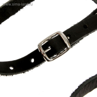 Намордник кожаный цельнокроенный, длина по носу 6,5 см, ОМ 35 см, ротвейлер, чёрный Намордник кожаный цельнокроенный, длина по носу 6,5 см, ОМ 35 см, ротвейлер, чёрный