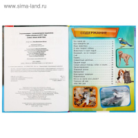 Энциклопедия А4 &laquo;Самые умные животные&raquo;