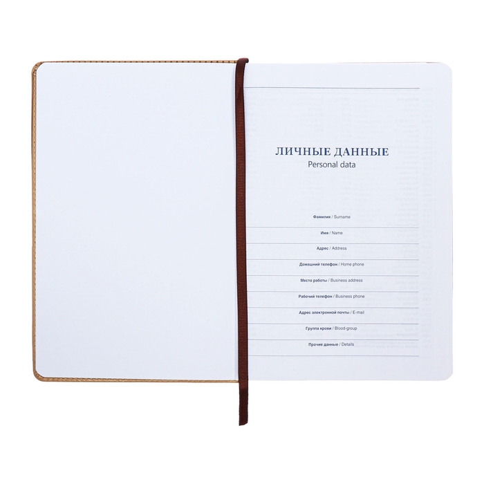 Ежедневник недатированный, А5, 140л, клетка, обл.кожзам, с хлястиком, Полоски бежевый