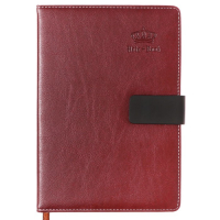 Органайзер А5, с хлястиком, 120 листов в линейку, обложка ПВХ, МИКС Органайзер А5, с хлястиком, 120 листов в линейку, обложка ПВХ, МИКС