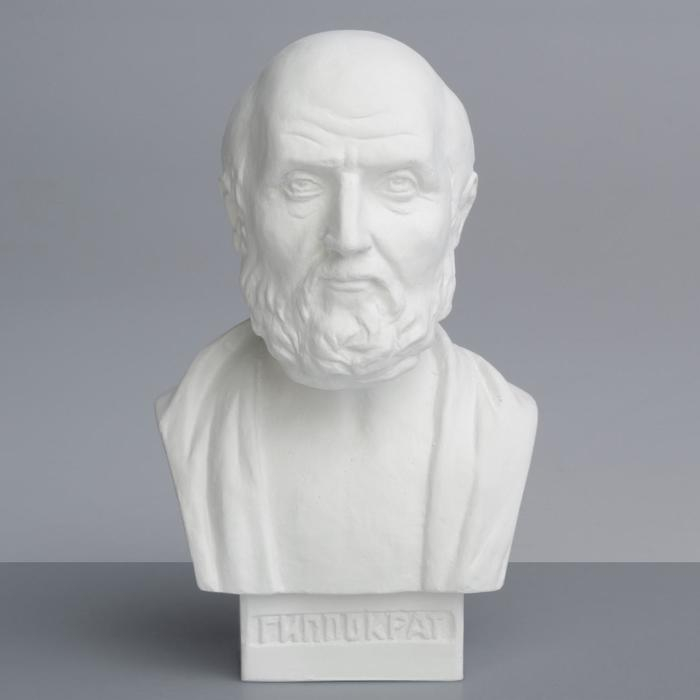 Гипсовая фигура известные люди: Бюст Гиппократа, 12 x 10 x 20 см Гипсовая фигура известные люди: Бюст Гиппократа, 12 x 10 x 20 см